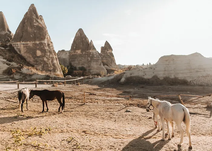 Sandik Cave فندق مبيت وإفطار 2*